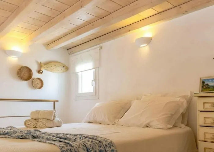 Premium Mykonian With Pool Holiday home