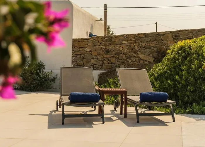 Premium Mykonian With Pool Holiday home Ano Mera